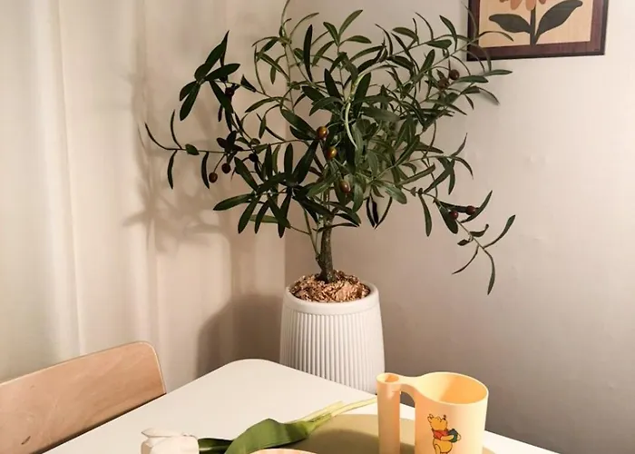 Miso Villa